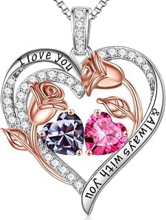 925 Sterling Silver, Gift Box Packaging, Anniversary Birthday Gifts for Wife Mom Daughter Iefil Birthstone Necklace for Women - Rose Heart Necklace B0CJV8W2XC