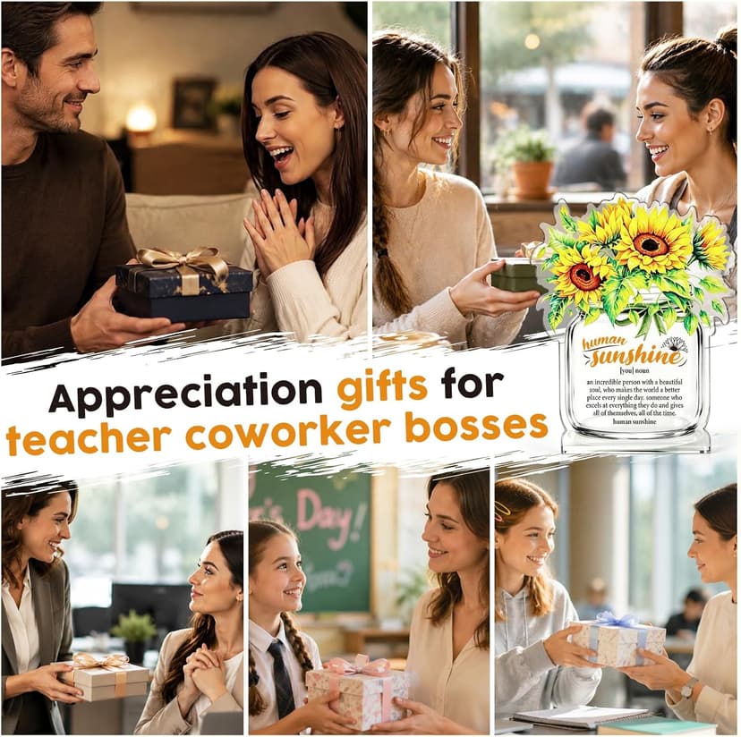 Motivational Inspirational Gift for Coworker Teacher Employee Leader Friend Coach, Definition Acrylic Office Desk Decor Human Sunshine Appreciation Gifts, Christmas Thank You Gifts for Women Men B0H3C7LC9Y