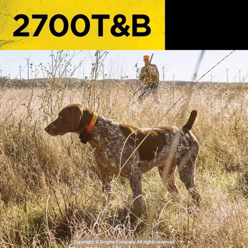 Dogtra 2700T&B Long Range 1-Mile 1-Dog Training & Beeper Remote Dog Training E-Collar for Upland Gun Dog