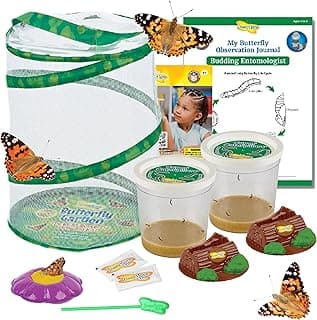 Insect Lore Butterfly Garden Kit – 10 Live Caterpillars, Habitat, STEM Journal, 2 Chrys-a-lid Holding Logs & Feeder – Grow & Release Painted Lady Butterflies – Educational Science Toy