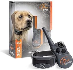 Precision in the Field: Choosing the Best E Collar for Hunting Dogs as a Gift