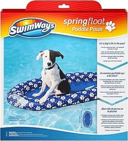 Best Pool Floats for Dogs: The Ultimate Gift for Water-Loving Pups