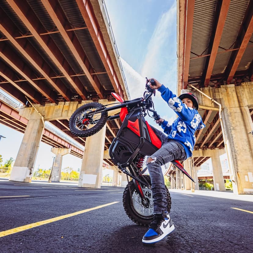 Yozma IN10 Electric Mini Dirt Bike for Teens & Adults, 14"/12" Fat Tire 2600W Electric-Motorcycle with 48V 23AH Battery Ebike 40MPH Hydraulic Brakes Mountain Off-Road EBike, Fit Age 13+