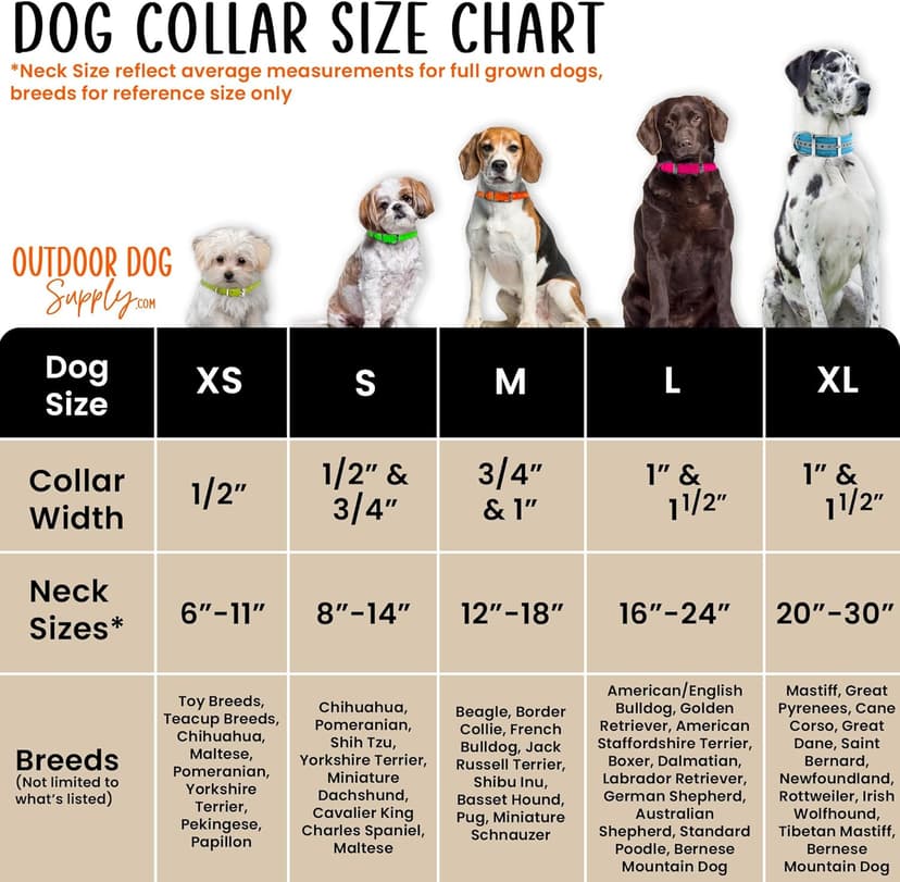 Outdoor Dog Supply 1" Heavy Duty Reflective Waterproof D-Ring Dog Collar for Medium & Large Dogs with 3/4" Custom Brass Nameplate (Reflective Orange, 21")