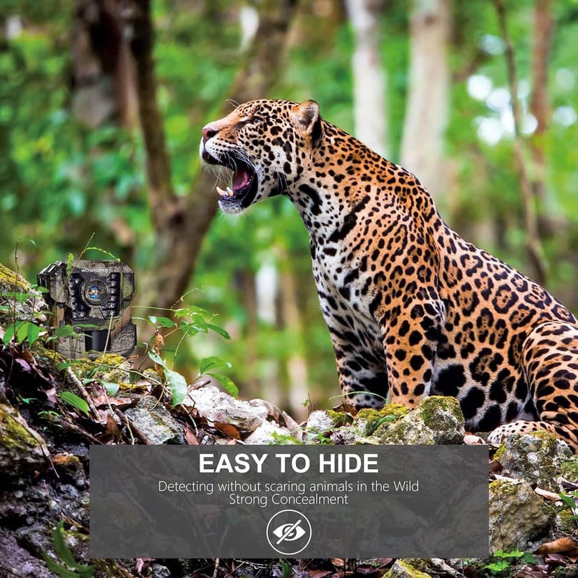 WOSPORTS Mini Trail Camera,24MP 1080P HD Game Camera Motion Activated with IR Night Vision Waterproof Video Deer Cam for Outdoor Wildlife Monitoring