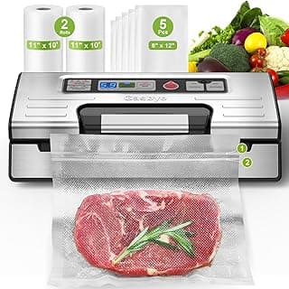Gasbye Vacuum Sealer Machine, 95kPa Food Sealer with Double Heat Seal for Dry/Moist Food, Easy-lock Handle, Built-in Bag Storage & Cutter, Progress Display, Removable Drip Tray, Silver