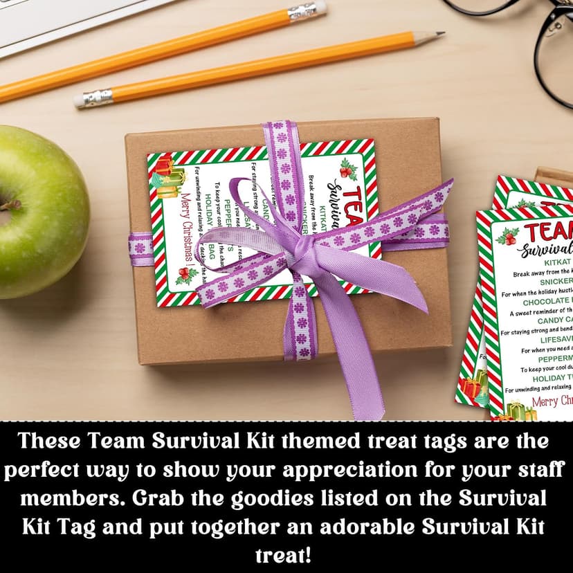 40 Pcs Team Survival Kit Gift Tag, Christmas Staff Appreciation Tags for Gift Bags, Welcome to the Team Gifts for Volunteers Employees - KA06 B0FJ2B58B3