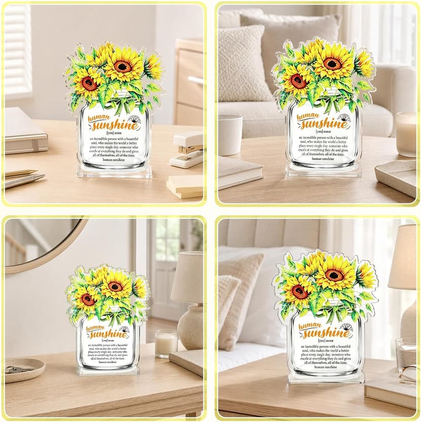 Motivational Inspirational Gift for Coworker Teacher Employee Leader Friend Coach, Definition Acrylic Office Desk Decor Human Sunshine Appreciation Gifts, Christmas Thank You Gifts for Women Men B0H3C7LC9Y
