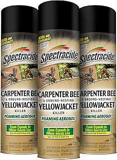 Spectracide Carpenter Bee and Ground-Nesting Yellowjacket Killer Foaming Aerosol 16 Ounces, Expands to Where Insects Live, 3 Pack