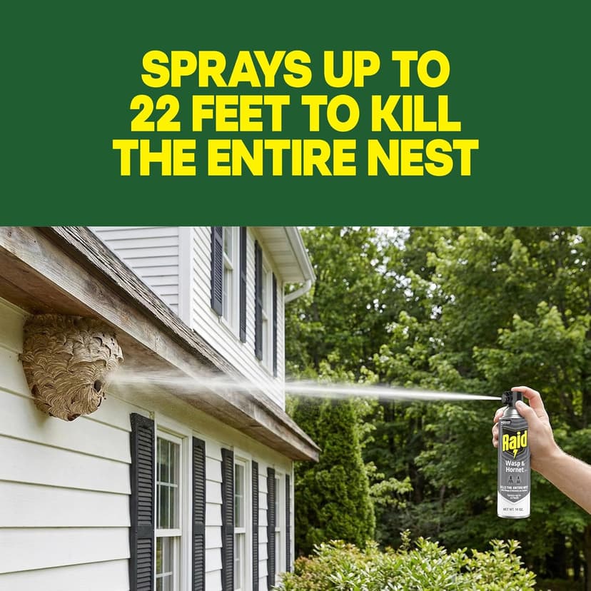 Raid Wasp & Hornet Killer Spray, Kills the Entire Nest, For Paper Wasps, Yellow Jackets, Mud Daubers and more, 14 oz (Pack of 2)