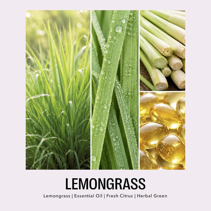 Mom Gifts for Birthday, Christmas - Mom candle with natural soy wax and lemongrass essential oil, 10 oz jar, gift-ready box Funny Gifts for Mom from Son, Having Me as a Son Lemongrass Candle B0GZH74W8K