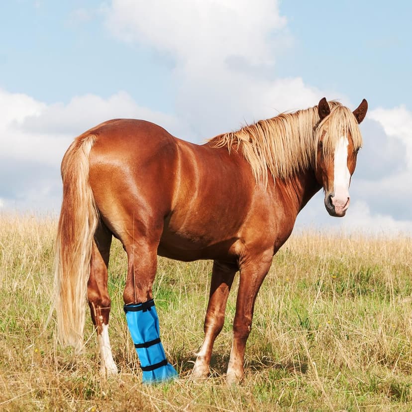 SilTriangle 4 Pcs Easy Use Hoof Soaking Boot for Horse Soaker Bag, Hoof Care Treatment Bucket with EVA Pad and Elastic Band, 2 Pairs Horse Soaker Bag for Common Equine Hooves Ailment Problem