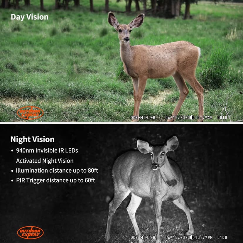 20MP Mini Trail Camera 1080P Hunting Trail Camera with No Glow 940nm Night Vision Motion Activated IP66 Waterproof,80ft Illumination Range Hunting Game Cam for Wildlife Monitoring- Grey-(2 Packs)