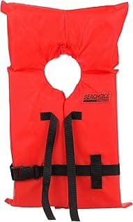 Seachoice Life Vest, Type II