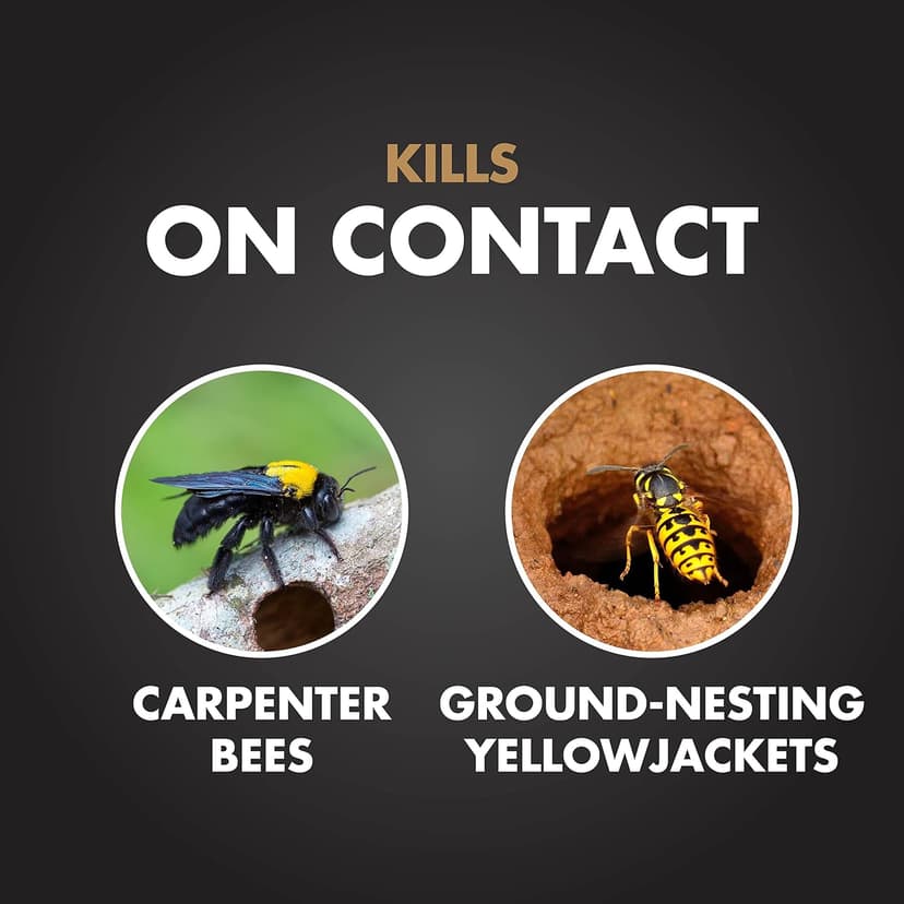 Spectracide Carpenter Bee And Ground-Nesting Yellowjacket Killer Foaming Aerosol 16 Ounces, Expands To Where Insects Live, Yellow