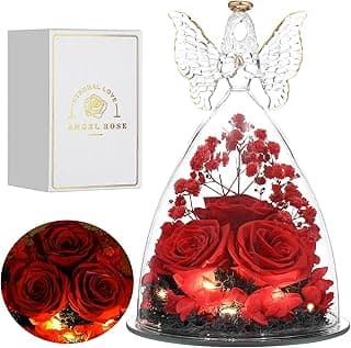Mothers Day Mom Gifts for Women Preserved Flowers in Glass Angel Forever Flowers Gifts Eternal Roses Gifts for Grandma - Red