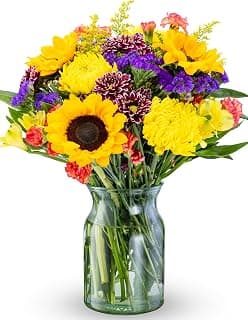 Benchmark Bouquets - Flowering Fields (Glass Vase Included) - Fresh Flowers for Delivery - Gift for Birthday, Anniversary, Sympathy, Get Well, Congratulations, Thanksgiving, Christmas