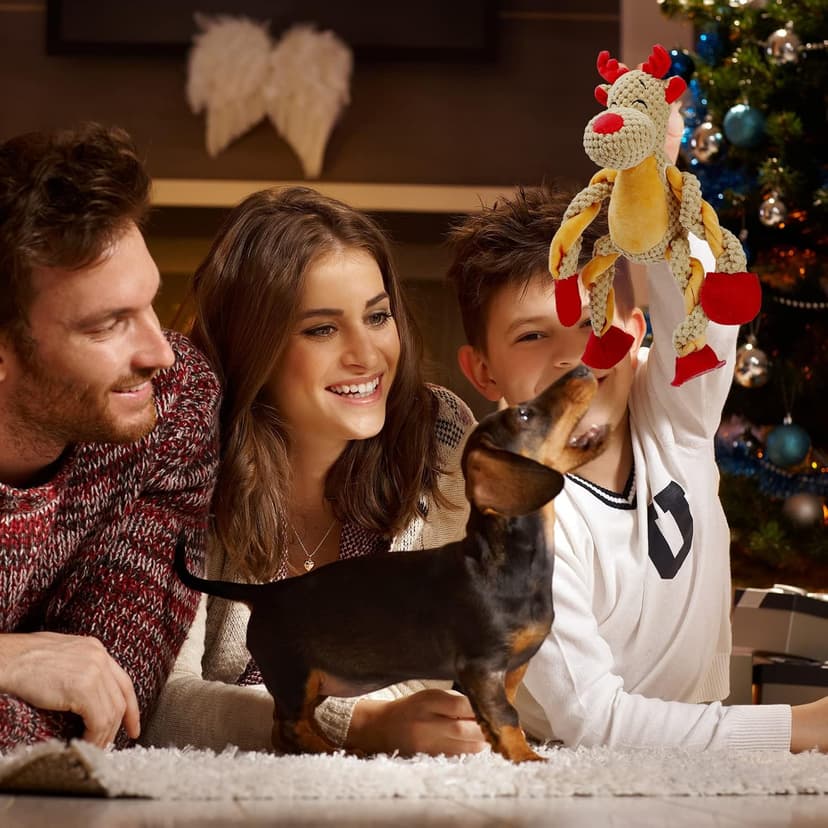 Senneny Christmas Dog Toys, Squeaky Reindeer Plush with Ropes for Tug of War, Durable Interactive Chew Toys for Puppy Small Medium Large Dogs B09GB84W26