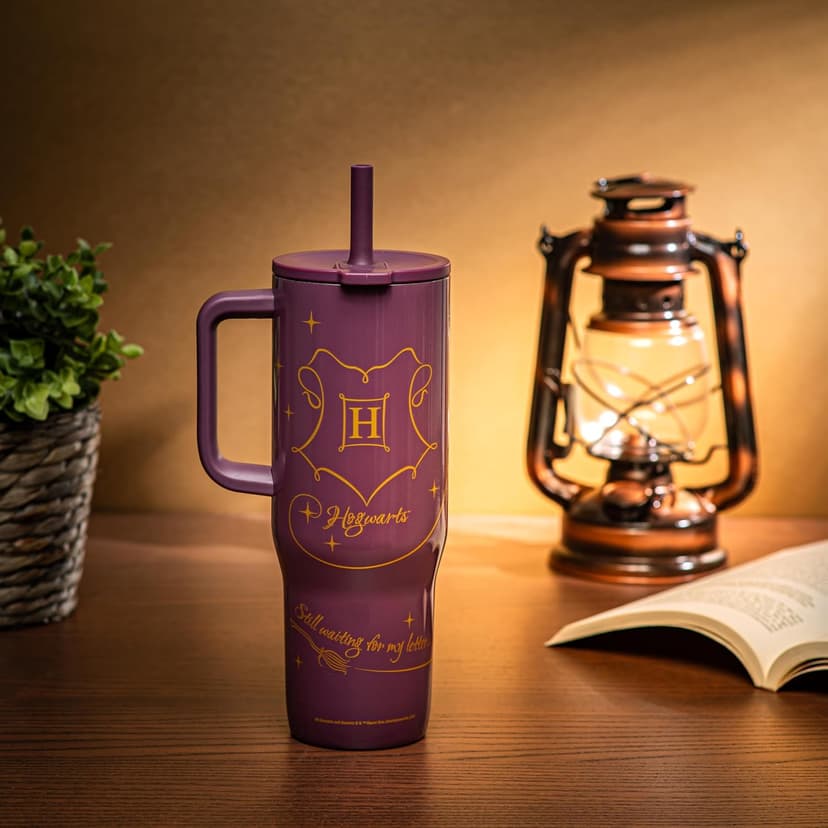 BPA Free, Silicone Straw, Handle, Cupholder Friendly, Dishwasher Safe, For Office, Home, Travel, Work, Gym, Fitness Zak Designs Harry Potter 30oz Spill-Proof Insulated Stainless Steel Tumbler B0FT7C47X5