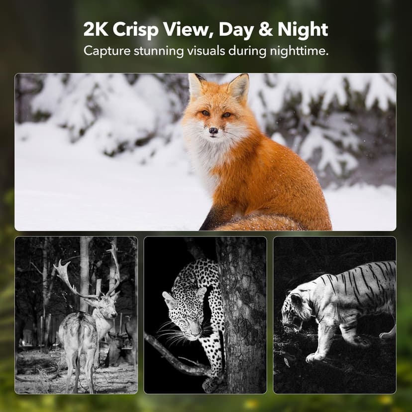 4G LTE Cellular Trail Cameras 2K 360° View Live Streaming Game Camera Built-in SIM Card with Motion Activated Color Night Vision Remote Phone Access Solar Powered Trail Camera IP65 Waterproof 2 Pack