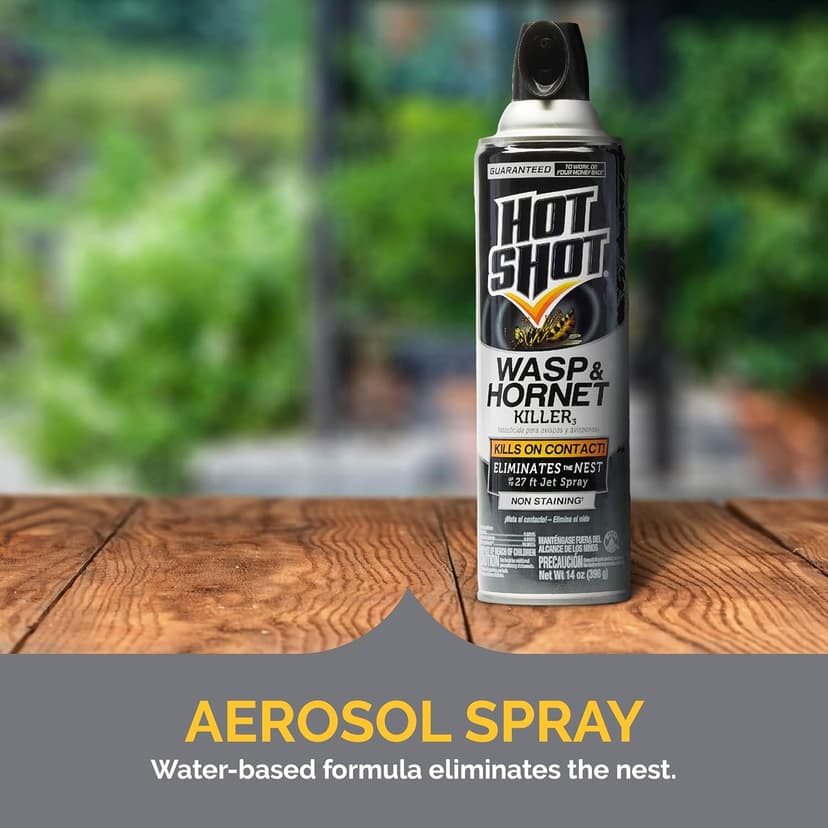 Hot Shot Wasp and Hornet Killer Aerosol, Up to 27-Foot Jet Spray, 14 Ounces, 2 Pack
