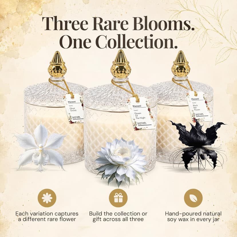 Decorative Soy Candles Birthday Gifts for Women, Elegant Glass Jar, 14.8oz, 80Hr Long Lasting Burn, Luxury Candles for Women VIONAMI Queen of The Night Rare Flower Fragrance Luxury Scented Candle Gift B0FBMNBQ3D