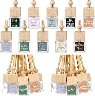 Wood Air Freshener with Thank You Cards, Essential Oil Diffuser, Customer Service Week for Teacher Coworker Staff Team Havawish 10 Pcs Car Diffuser Ornament Employee Appreciation Gift Bulk B0D1K9WQ1B