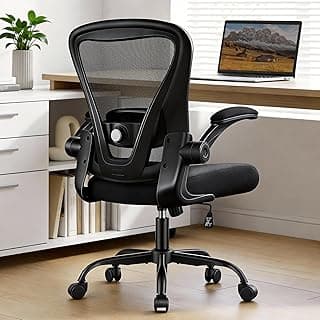 Office Chair, Ergonomic Office Chair with Back Support, Comfy Home Office Desk Chairs with Lumbar Support & Flip-up Armrests, 330LBS Mesh Computer Executive Task Chair for Home Office, Black
