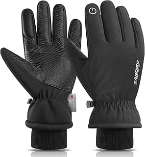 anqier Winter Gloves -30℉ Waterproof Windproof Thermal Touchscreen Gloves for Ski Hiking Running Men and Women