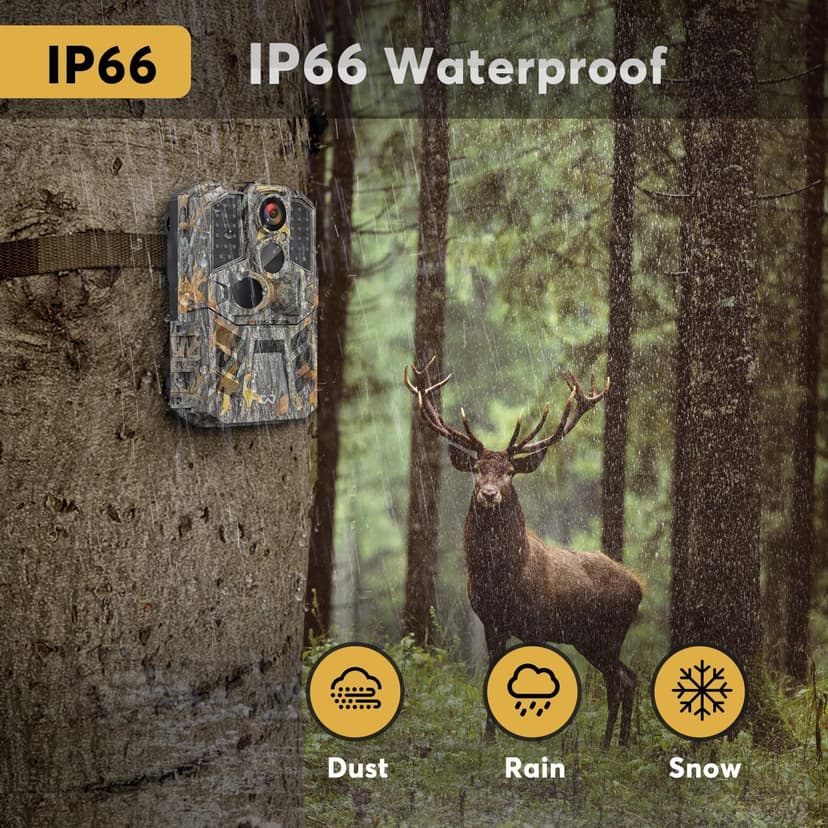 Trail Camera 3 Pack 36MP 1920P HD Game Camera with SD Cards, 0.2s Trigger Time Infrared Night Vision Motion Activated, IP66 Waterproof 2.0''LCD Wildlife Camera for Monitoring