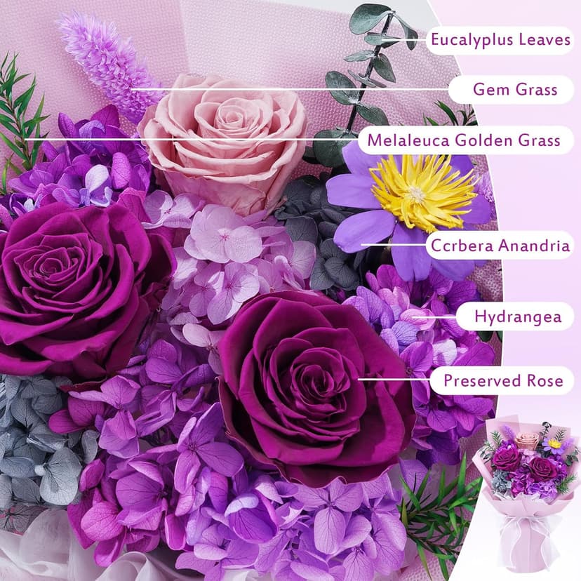 Waipfaru Preserved Flowers, Purple Fresh Bouquet with Gift Box, Flowers for Delivery, That Last 1-3 Years, Forever Flowers for Women Birthday Gift, Anniversary, Teacher, Mother Day