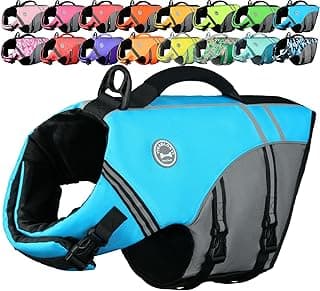 VIVAGLORY Sports Style Dog Life Vest, Dog Life Jacket for Swimming & Boating, Ripstop & Buoyancy for Puppy Doggy, Lifejacket with Handle, M, Blue