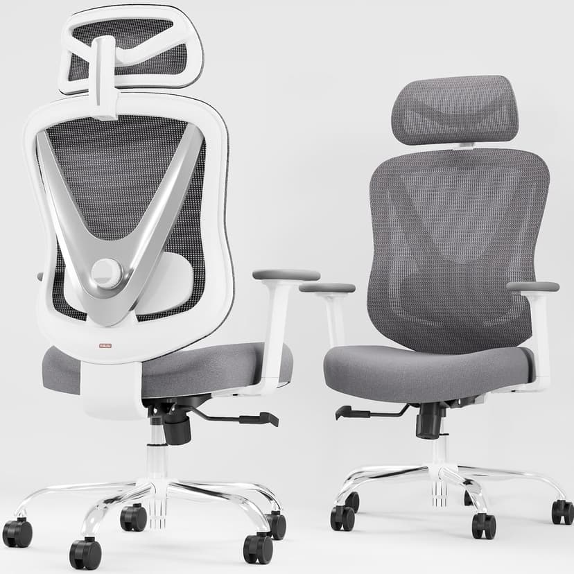 HOLLUDLE Ergonomic Mesh Office Chair - 3D Adjustable Lumbar Support & 3D Armrests, V-Shaped Back, Adjustable Desk Chair for Office & Home, White