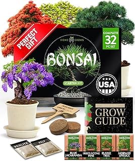 Bonsai Tree Kit - Gifts for Men & Women - Grow 4 Bonsai Trees - Unique Gardening Crafts for Adults, DIY Hobbies for Plant Lovers & Gardeners - Unusual Christmas Gift Ideas for Mom & Dad
