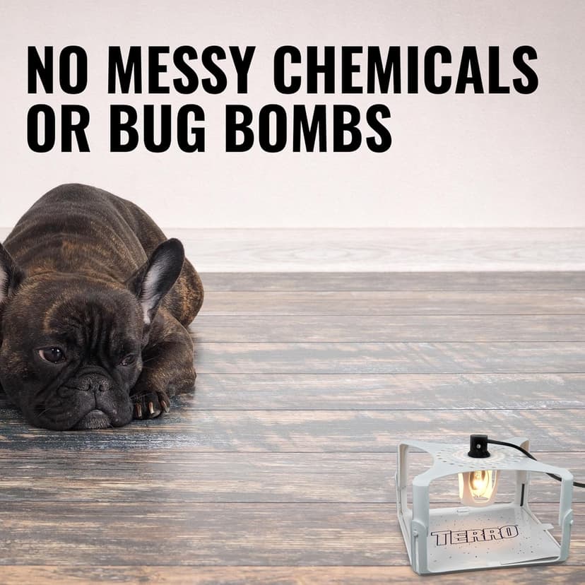 Terro T230 Indoor Electric Flea Trap and Killer - Refillable Flea Traps for Inside Your Home