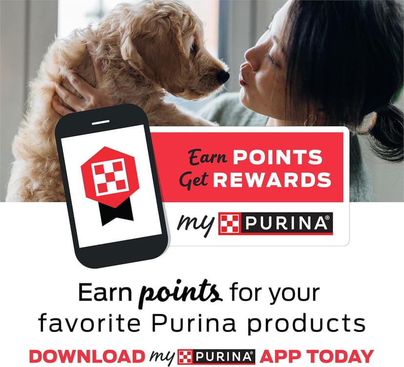 Purina Busy Bone Adult Dog Chew Bone Treats, Peanut Butter - 10 ct. Pouch