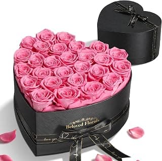 27 Preserved Flowers Rose Birthday Gifts for Women Her Mom Wife Girlfriend Grandma on Valentines Mothers Day Christmas Anniversary Romantic(Pink) B0FBRD7CBQ