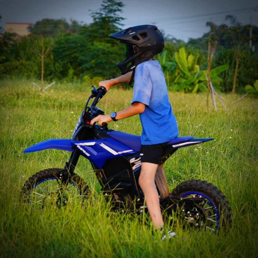 Electric Dirt Bike for Adults Teens, 3000W Brushless 220Nm Motor - 45° Slope, 38 MPH, 48V/23.5Ah Removable Battery, Dual Hydraulic Brakes & Full Suspension Electric Motorcycle for Age 13+