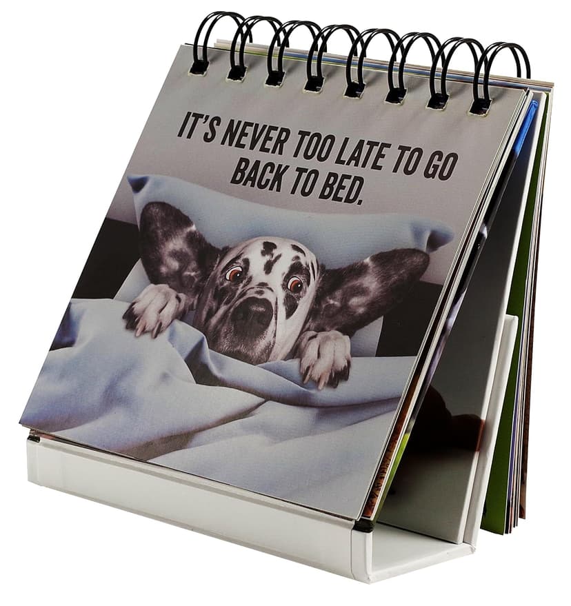 Every Flippin' Day Desktop Flipbook 1441329501