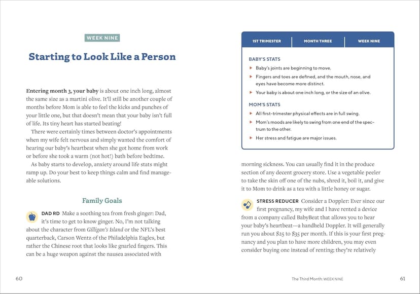 We're Pregnant! The First Time Dad's Pregnancy Handbook