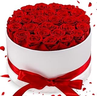 27 Forever Roses in Luxury White Box, Eternal Real Roses Gift for Women, Preserved Flowers for Delivery Prime, Anniversary, Valentine's Day, Birthday for Her (Red)
