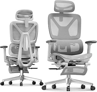 FLEXISPOT ErgoX Premium Ergonomic Office Chair with Footrest- Adjustable 3D Armrests, Dynamic Lumbar Support, Recline & Tilt Function, Mesh Seat, for Home & Office Use,Light Grey