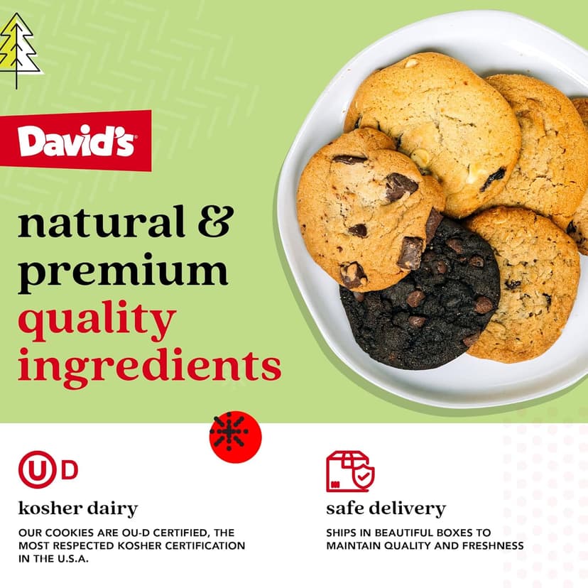 David's Cookies Merry Christmas Assorted Cookies in Sweet Sampler Tin – Fresh Baked Delicious Crunchy Cookies, Gourmet Cookie Gift Box For Friends, Family – Christmas Treats For Holiday Gatherings