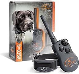Precision and Partnership: The Best Hunting Dog Training Collar as a Premium Gift
