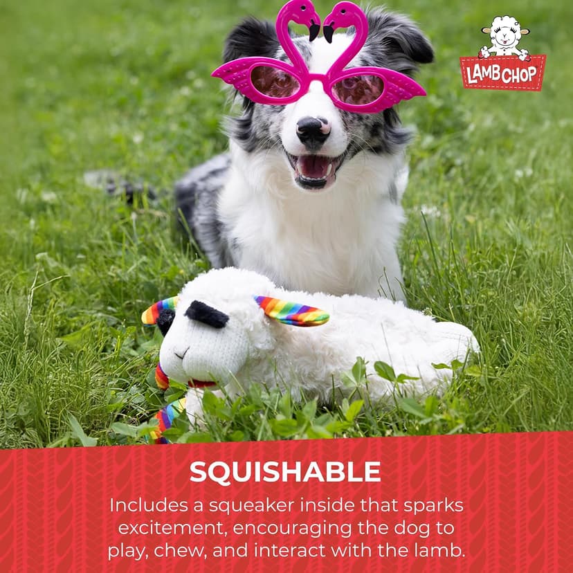Soft Plush Dog Toy, Stuffed Animal Dog Toy For Playing, Cute Birthday Toy 10.5”, Pink Hat, 5 Squeakers Multipet Lamb Chop Dog Plush Toy with Birthday Hat - Squeaky Dog Toy B0BKH23JXC