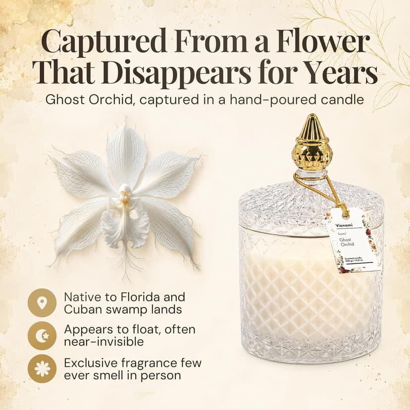 Decorative Soy Candles Birthday Gifts for Women, Elegant Glass Jar, 14.8oz, 80Hr Long Lasting Burn, Luxury Candles for Women VIONAMI Ghost Orchid Rare Flower Fragrance Luxury Scented Candle Gift B0FBMMZPXL