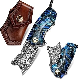 VNLA Handmade VG10 Damascus Steel Folding Pocket Knife - 2.2-Inch Blade, Liner Lock, One-of-a-Kind Random Resin Handle, Cowhide Sheath - Premium Men's EDC Gift for Outdoor Enthusiasts