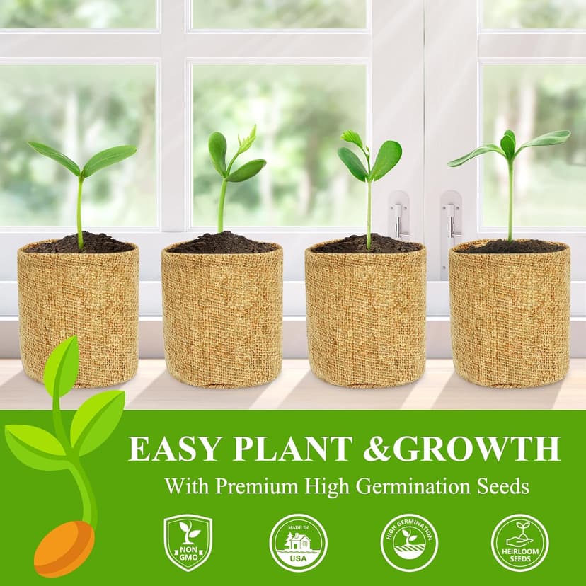 Indoor Herb Garden Kit, Culinary Herb Starter Kit with Seeds & Tools for Beginners, Kitchen Decor, House Warming Gifts for New Home, for Christmas, Ultimate Birthday Gifts for Women Men Mom Dad B0GR93MPX1
