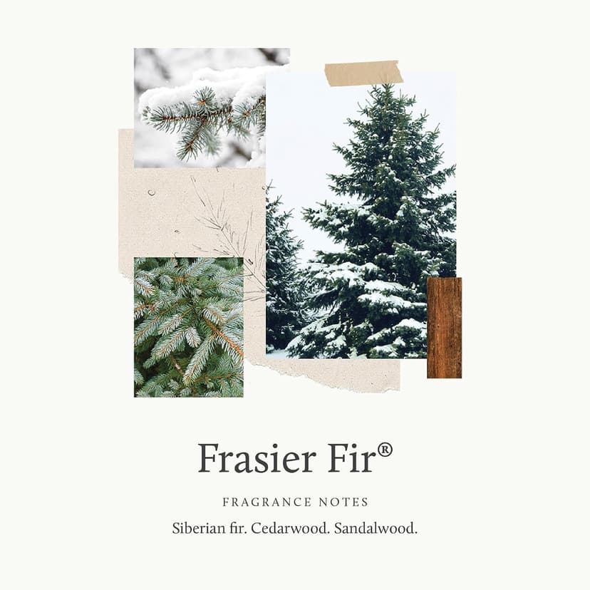Thymes Frasier Fir Reed Diffuser Set – Includes Reeds, Fragrance Oil, and Frosted Glass Bottle – Fragrance Oil Diffuser – Room Fresheners – Luxury Home Decor – White (Flocked, 4 fl oz) B0D1VZKBS5