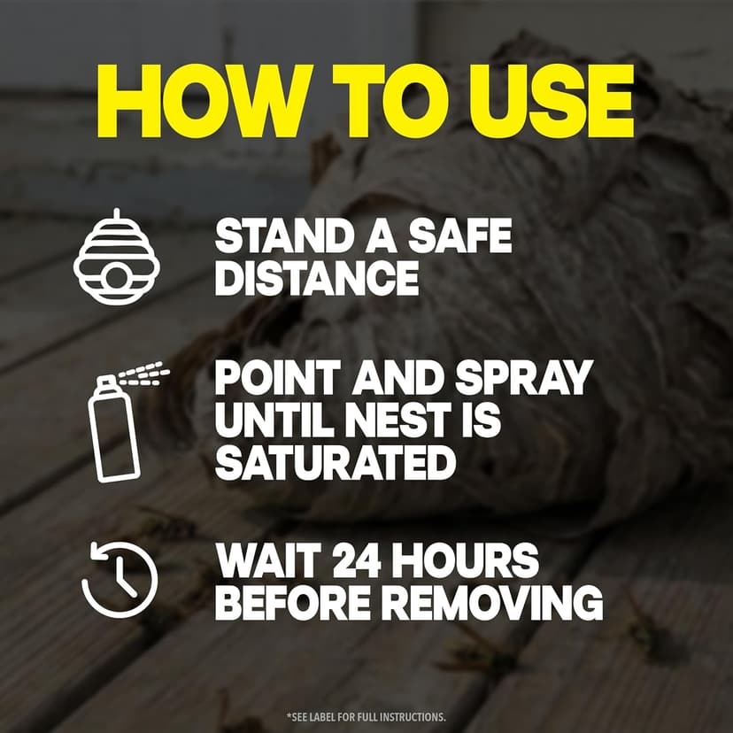 Raid Wasp & Hornet Killer Spray, Kills the Entire Nest, For Paper Wasps, Yellow Jackets, Mud Daubers and more, 14 oz (Pack of 2)